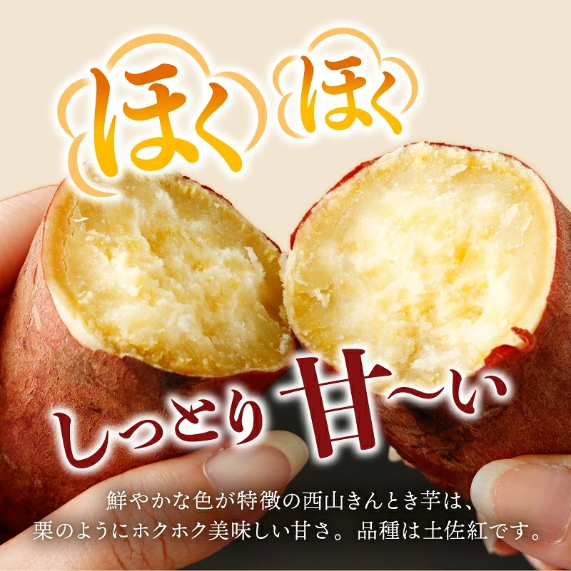 先行予約！【訳あり】土付き西山きんとき芋（紅はるか）　１０ｋｇ
